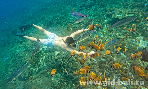 Нуса Пенида, снорклинг на Manta Bay