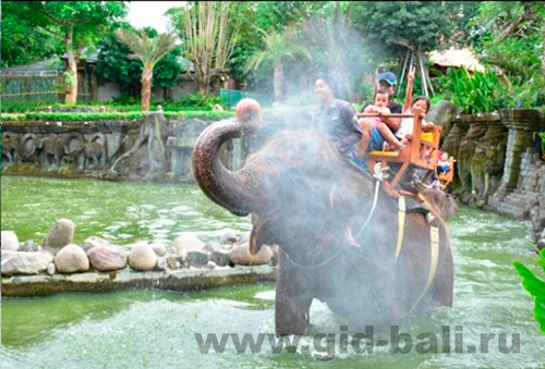 Экскурсия в зоопарк на Бали (Bali Zoo, Бали Зоо)